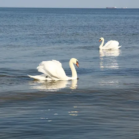 Ferienoase Apartment *